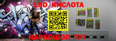 шишки Донской