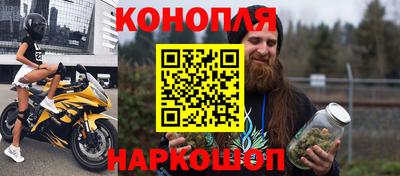 шишки Донской