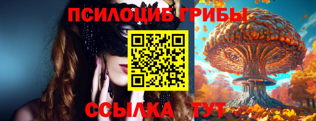 Галлюциногенные грибы MAGIC MUSHROOMS Грозный